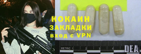 крисы Верхний Тагил