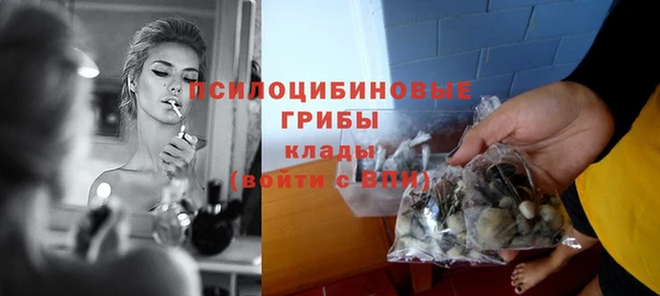 спиды Покровск