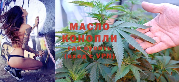 крисы Верхний Тагил