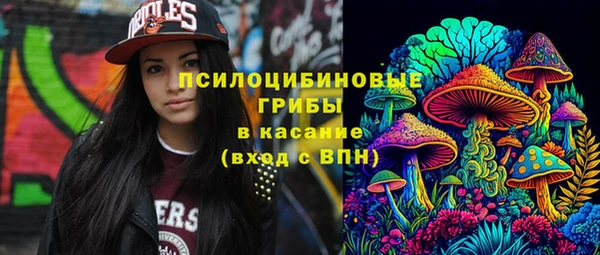 крисы Верхний Тагил