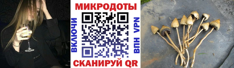цена наркотик Весьегонск Псилоцибиновые грибы Cubensis